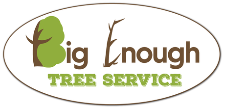 Big Enough Tree Service LLC in Central Iowa