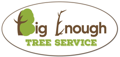 Big Enough Tree Service LLC in Central Iowa